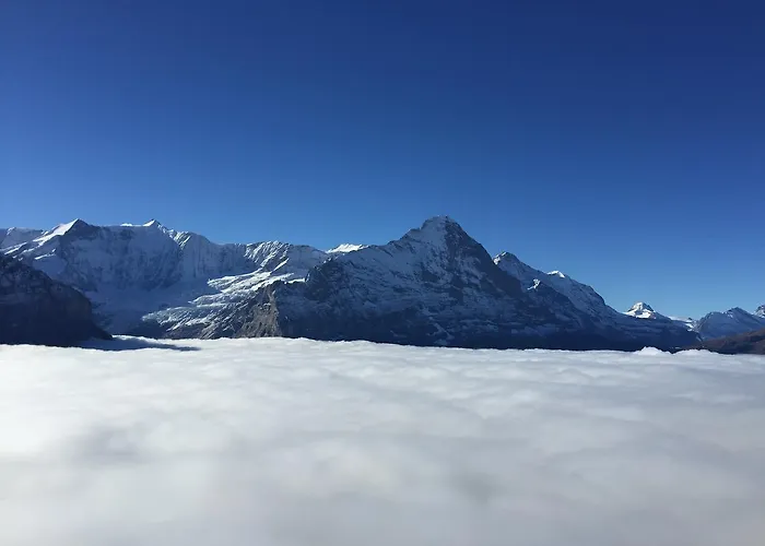 Berggasthaus First - Only Accessible By Cable Car