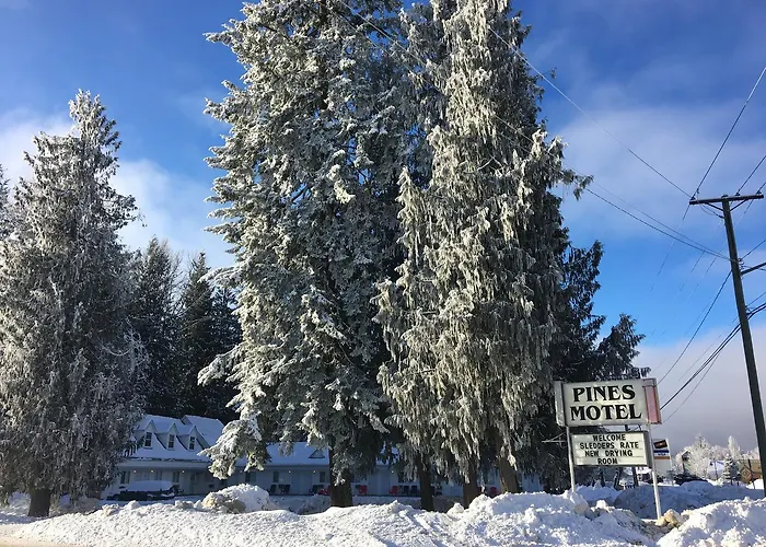 Pines Motel