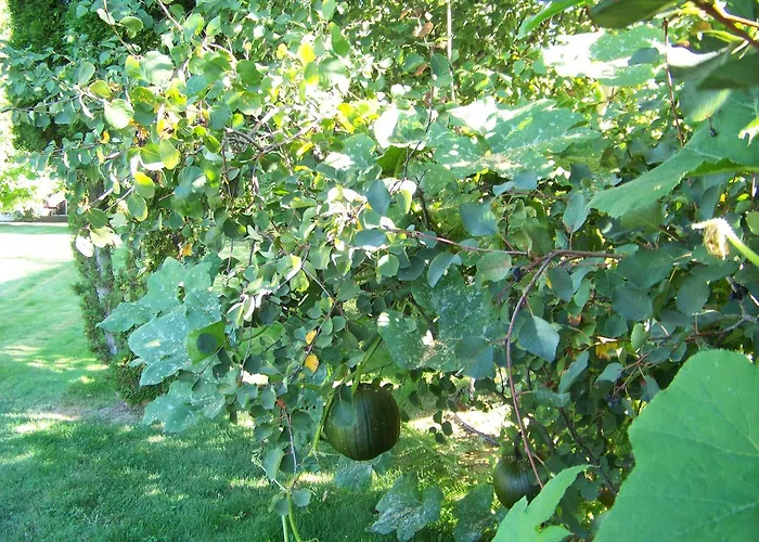 Bavarian Orchard Motel