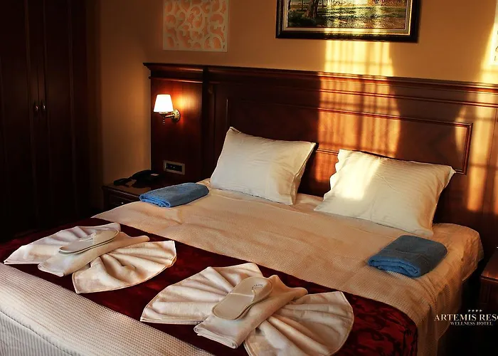 Artemis Resort Wellness Hotel