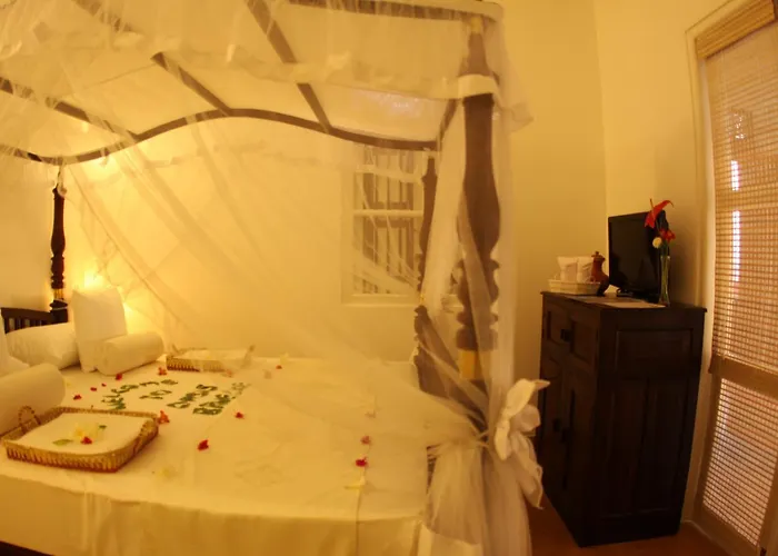 Oasis Ayurveda Beach Hotel