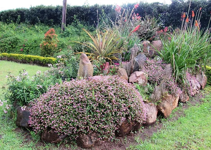 Koi Koi, Fort Portal