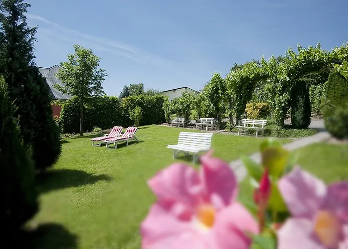 Hotel Springiersbacher-Hof