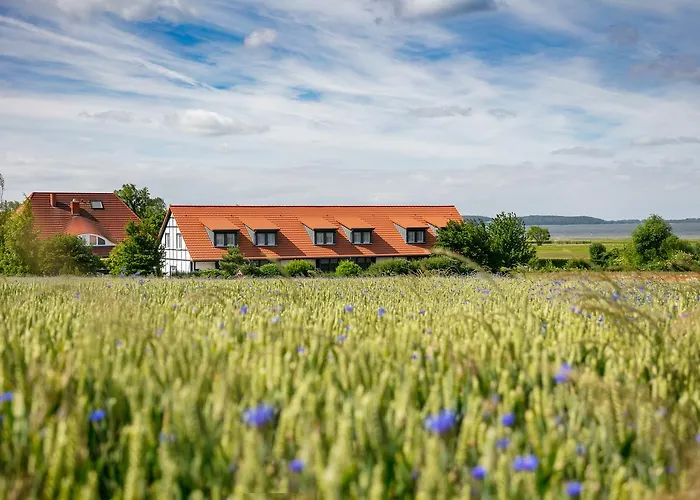 H.W.S. Hotel Der Wilde Schwan