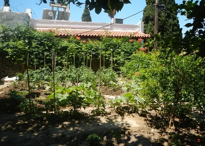 Lemon Tree Home