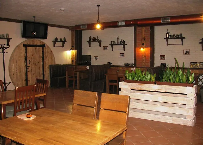 Almaz-Plus