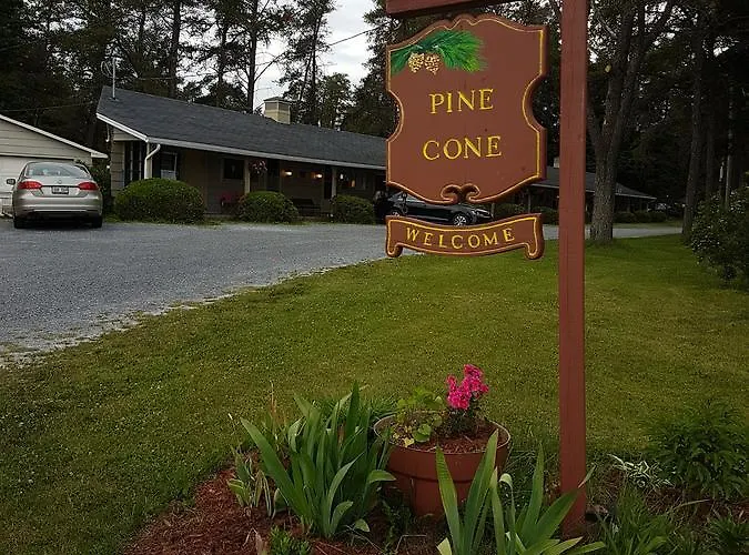 Pinecone Motel