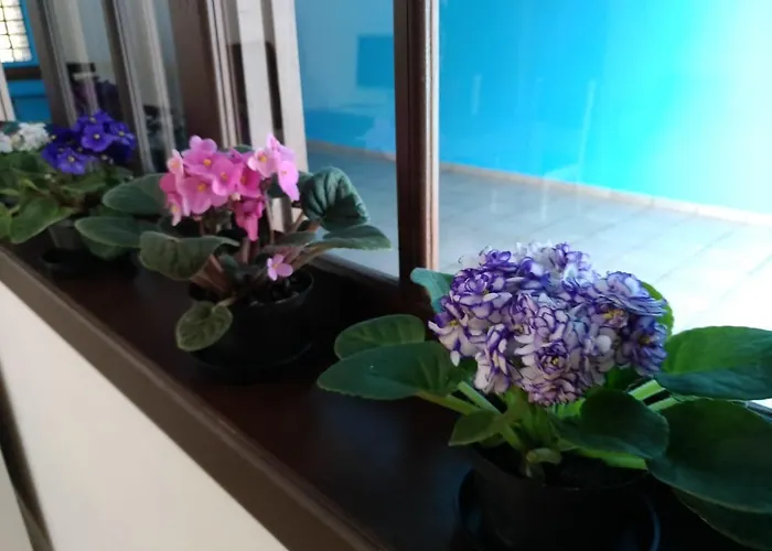 Hostel Villa Pomerânia