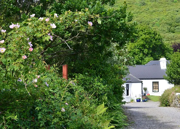 Kilcommon Lodge Holiday Hostel