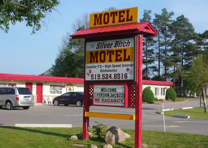 The Silver Birch Motel