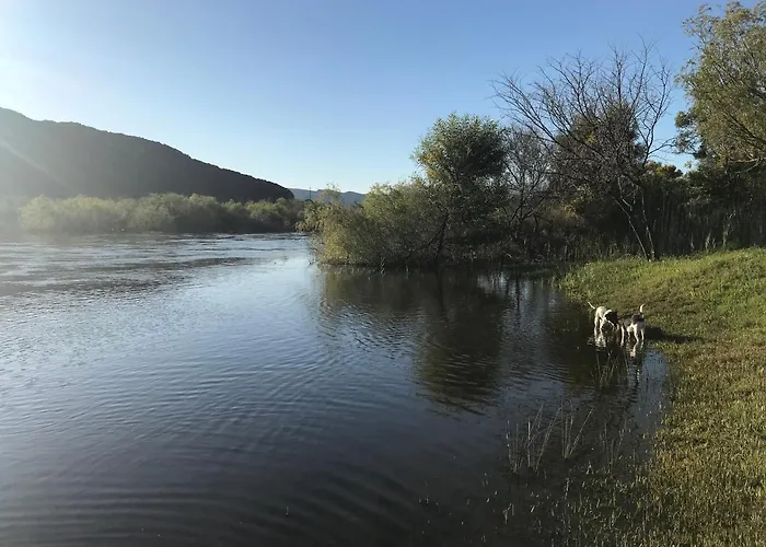 Olive Hill Guest House