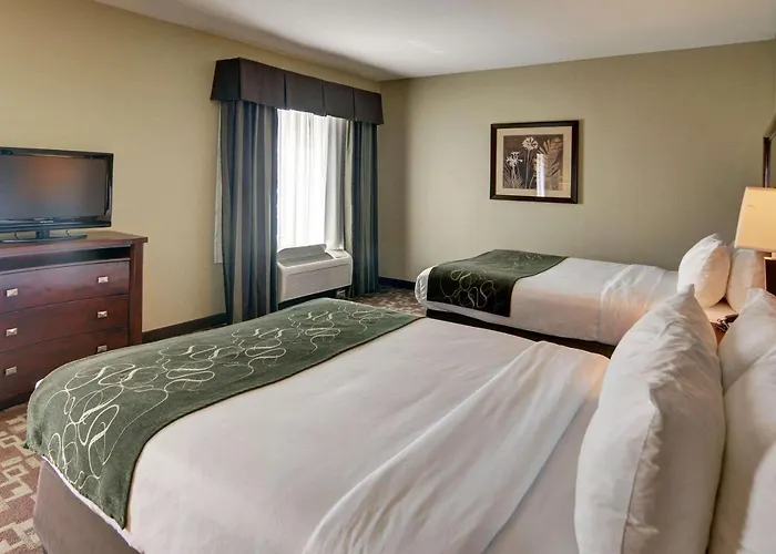 Comfort Suites Near Northeast Mall