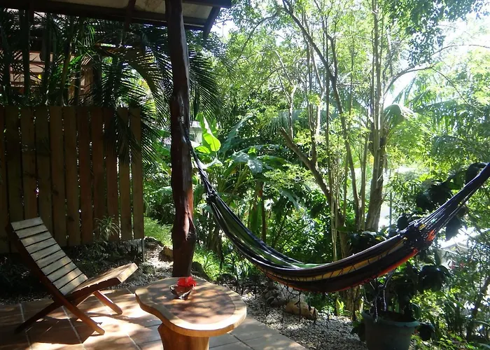 Funky Monkey Lodge