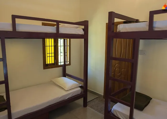 Trippr Kodaikanal Backpacker Hostel