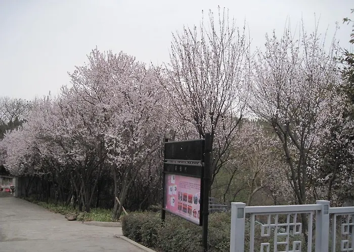 Fule Jiuzhou International Hotel