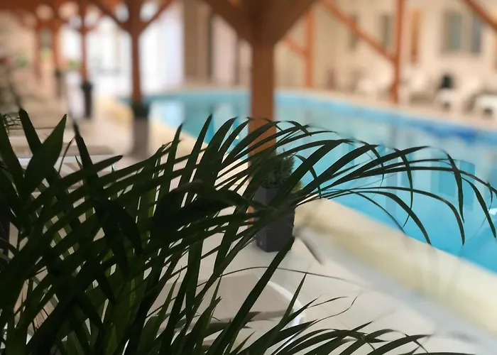 Hotel Ariesul