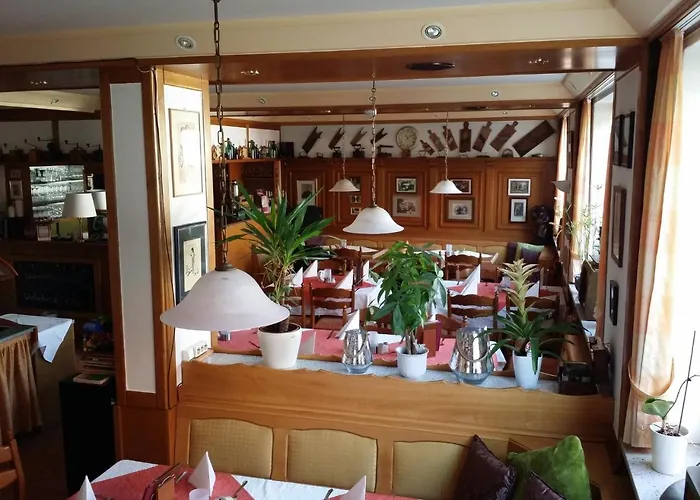 Hotel-Landgasthof Grüner Baum - Dittigheim