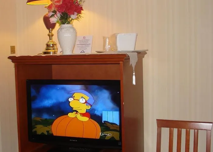 Best Days Hotel