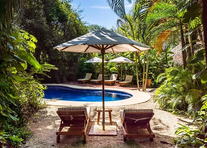 The Sunset Shack Hotel Nosara