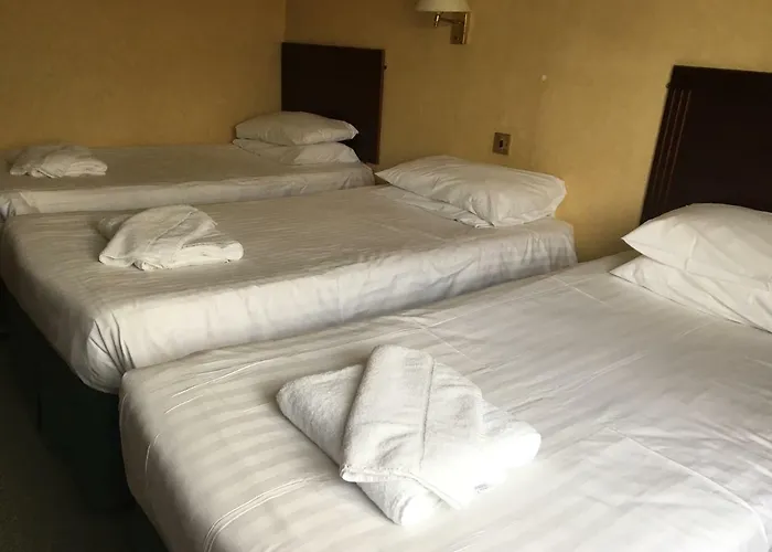 Cedar Tree Hotel
