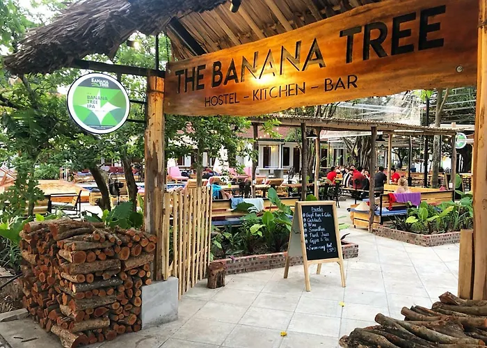 The Banana Tree Hostel