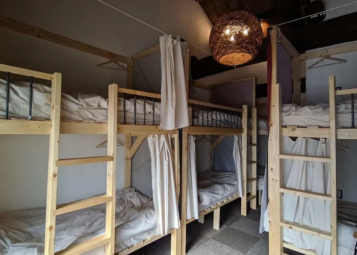 Mad Cat Hostel Osaka & Bar