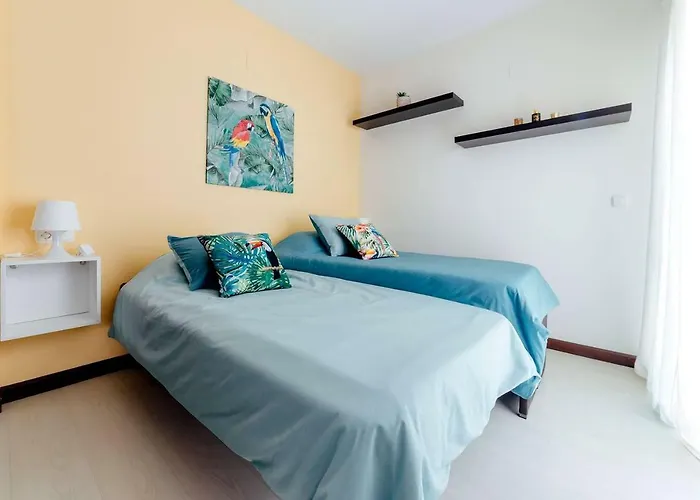 Cotobro Rental House