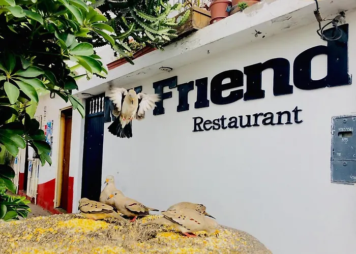 Surf Hostel My Friends
