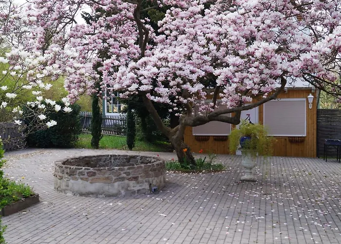 Hotel Am Kurpark