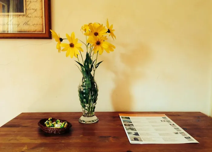 Hostal L'Ou De Reig