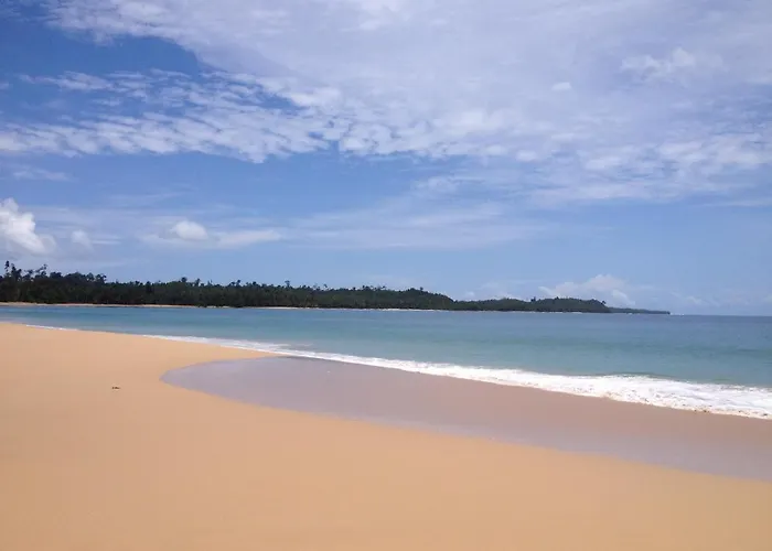 Masokut Surf Camp Siberut E"Bay 1 Minute Walking Beng-Beng 5 Minute Walking,Pitstop 10 Minute Walking Nipussy 1 Hour Walking Short Walking Only Minute Distances From Our Place