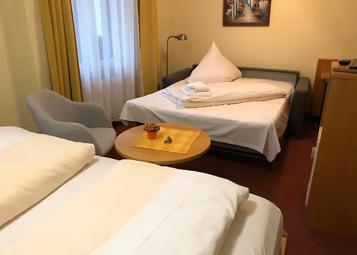 Hotel Rose Heidelberg inklusive Frühstück, Saunanutzung und Parkplätze nach Verfügbarkeit