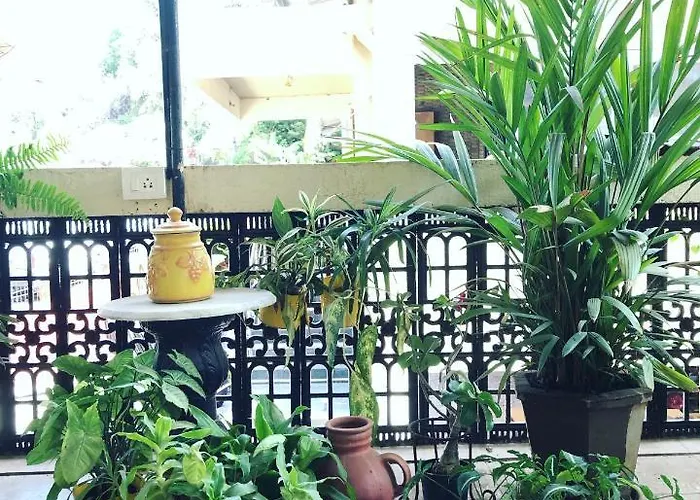 Hotel Paulino