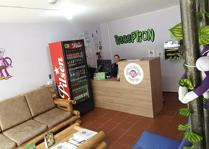 Purple Monkey Hostel
