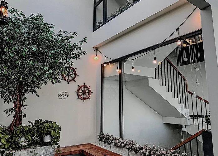 Daisy House
